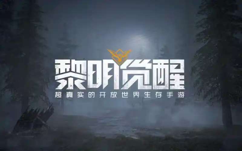 https://oss.9175.cn/2025071712502740646.jpg